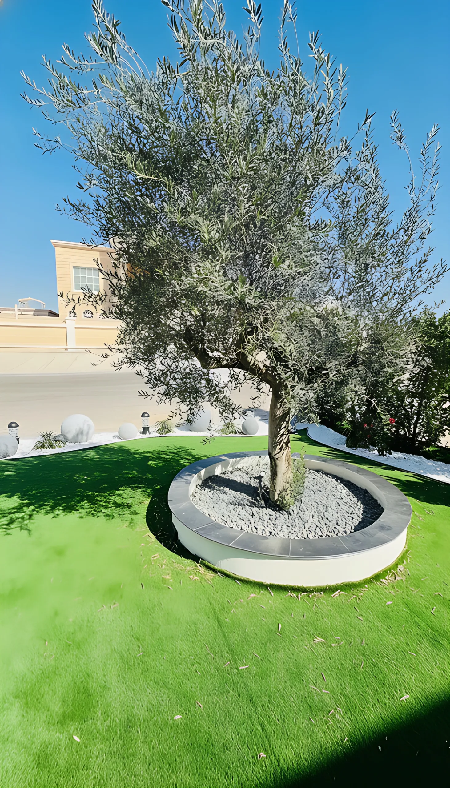 Al Shamkha Villa Landscaping - photo 5