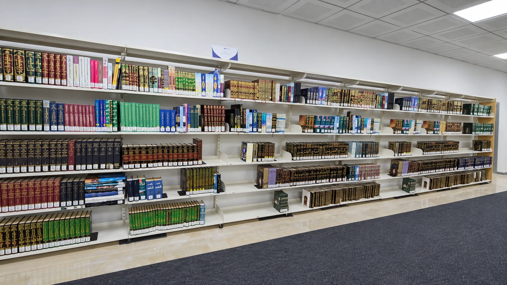 Library Carpet Installation - photo 7
