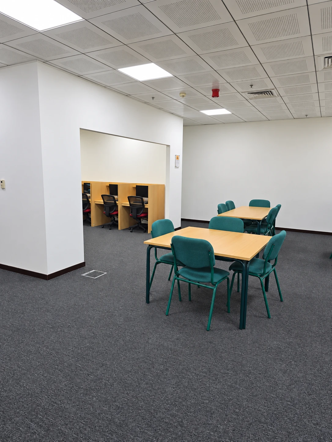 Library Carpet Installation - photo 5